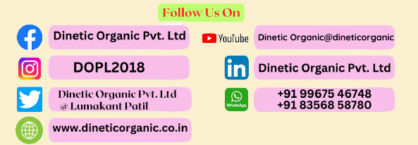 Garam Masala Dinetic Organic Pvt Ltd