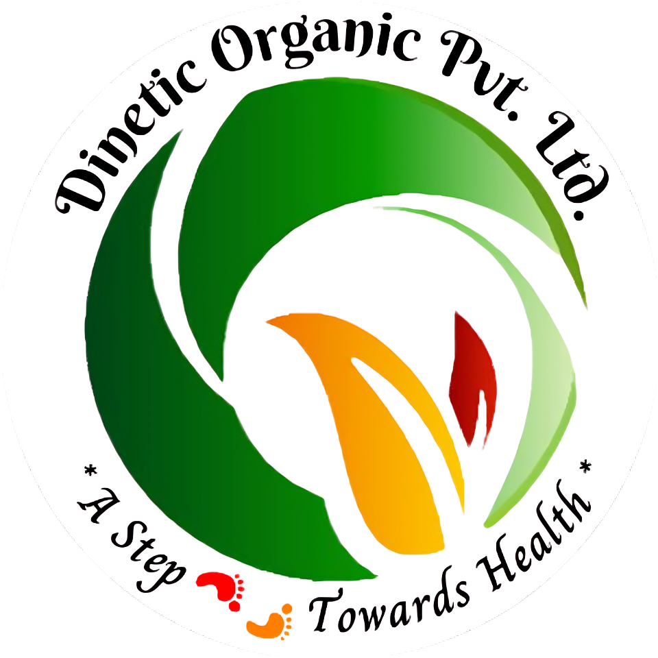 Dinetic Logo